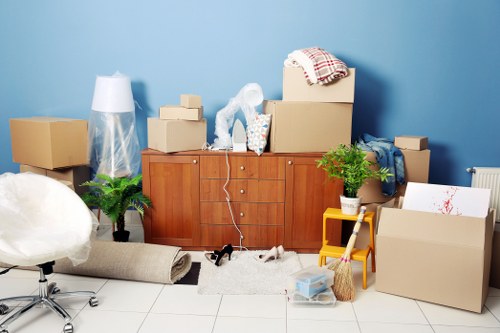 Packing and transporting household items during a Brompton removal