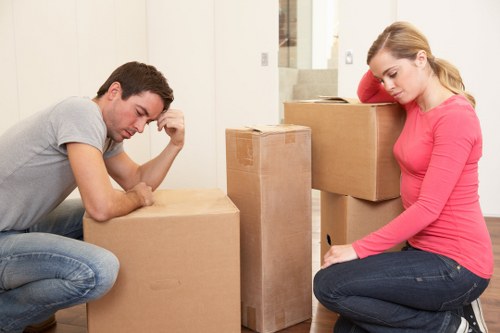 Flexible storage for residential and commercial customers in Brompton